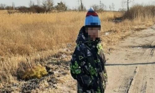 10-летнего мальчика на трассе из белогорска в благовещенск подобрала девушка
