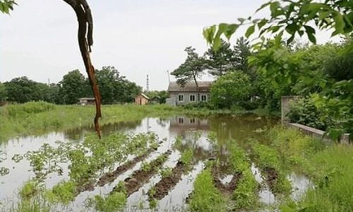 в белогорском районе прогнозируют затопление дорог, огородов и домов в пяти селах
