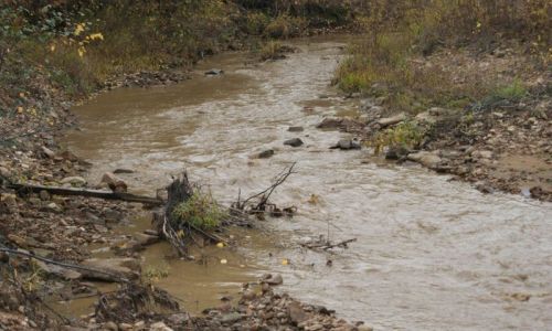 золотодобытчик в тындинском районе заплатил больше 3 миллионов рублей за загрязнение реки пурикан

