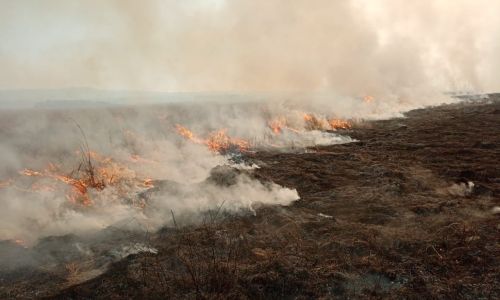 пожарные на вездеходах тушат огонь в архаринском районе
