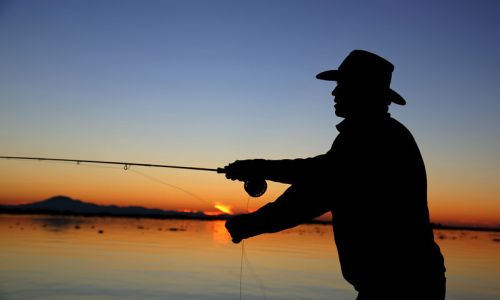 ловить рыбу в амуре запретили с 1 по 20 октября

