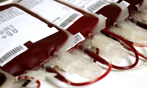 амурская станция переливания крови с 30 марта принимает только проверенных временем доноров
