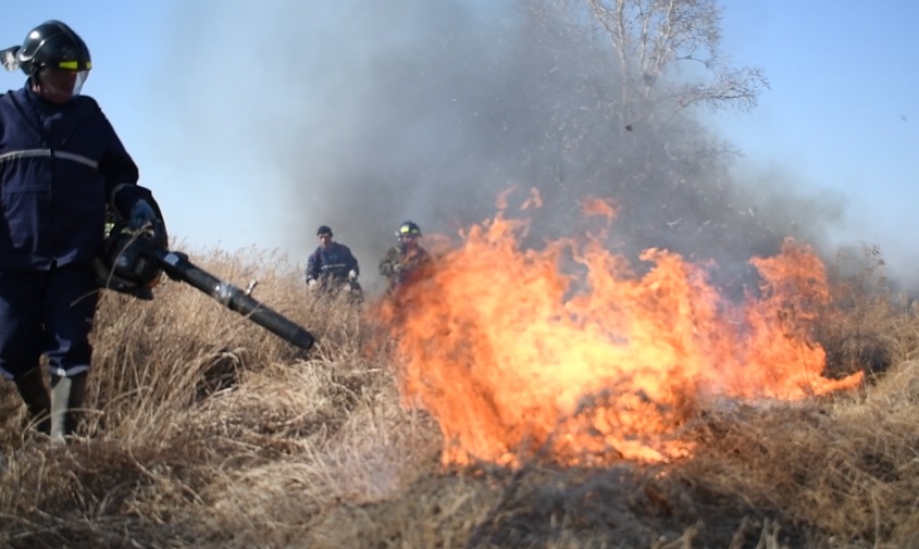 пожары на почти 500 гектарах потушили за сутки в приамурье
