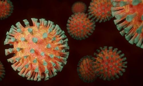 плюс 35: большинство заболевших коронавирусом живут в благовещенске
