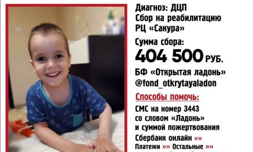 за полтора месяца на лечение пятилетнего благовещенца с дцп пожертвовали почти 45 тысяч рублей
