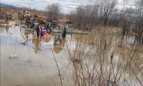 «как были могилы в воде, так и стоят»: жители зеи вновь сообщили о подтоплении городского кладбища
