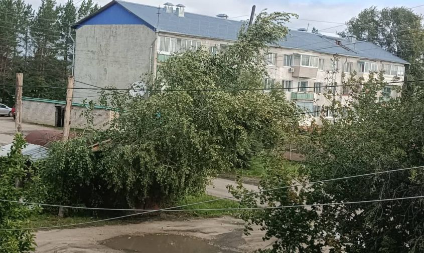 благовещенск, свободный, магдагачи, тыгда: амурчане остались без электричества из-за непогоды
