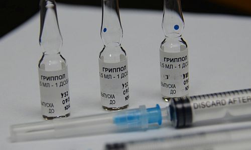 россиян предупредили о появлении четырех новых штаммов гриппа

