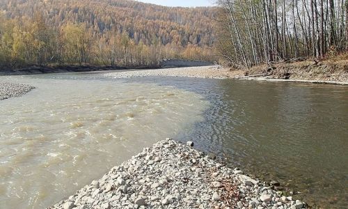 золотодобытчики, загрязнившие реки в селемджинском районе, пытались оспорить наказание