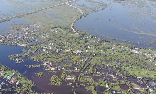 на реках приамурья преобладает тенденция спада
