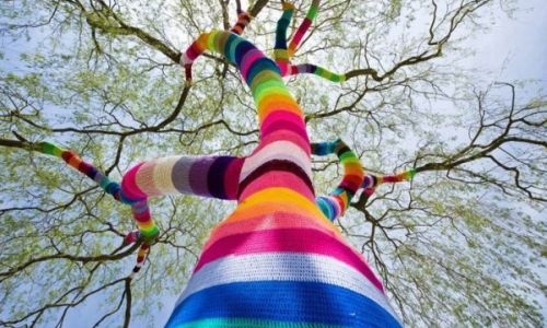 ярнбомбинг: благовещенским вязальщицам предлагают создать яркую одежду для деревьев