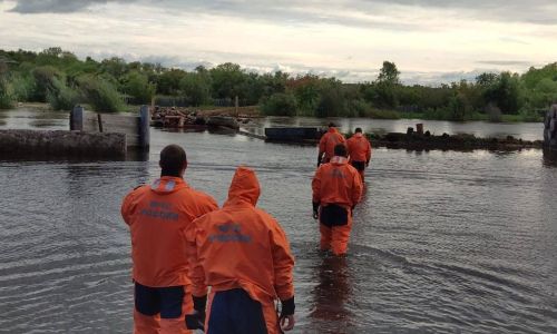 в приамурье подтоплено 837 приусадебных участков
