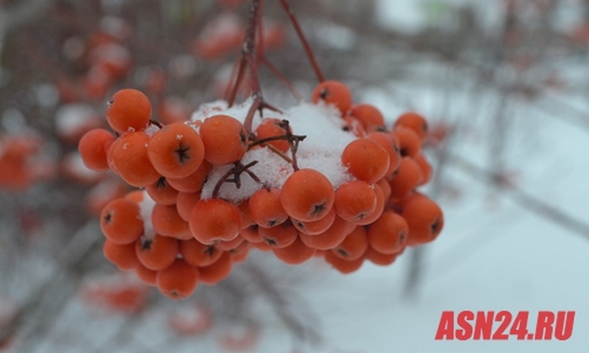 Прогноз погоды в Амурской области на 15 декабря