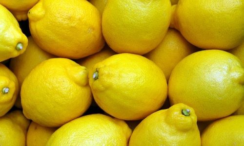 «золотые» лимоны: цитрусовые в приамурье подорожали до 500 рублей из-за небывалого ажиотажа
