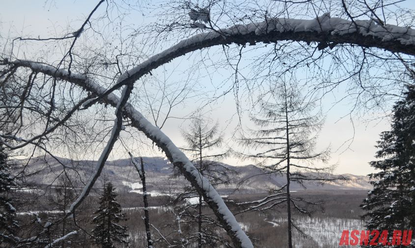 амурские синоптики о погоде в феврале: «самые лютые морозы уже пройдены»