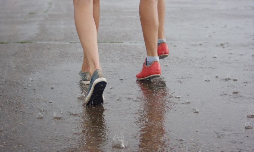 дожди, грозы и понижение температуры: синоптики о погоде в приамурье на выходные
