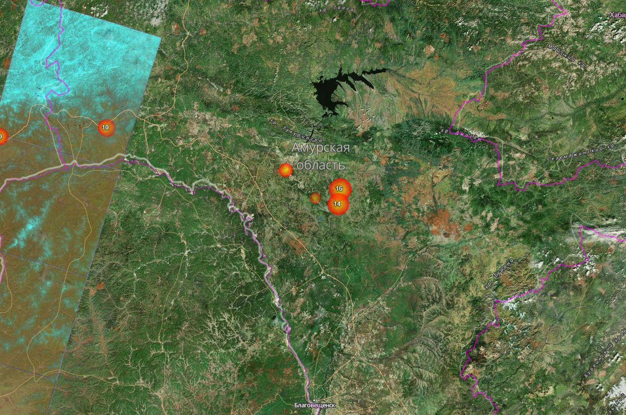 Карта пожаров в амурской области