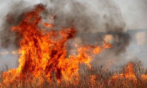 десять пожаров на севере амурской области решили не тушить
