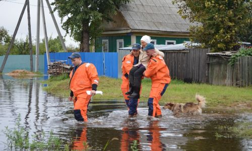 жителям острова старица в белогорске бесплатно выдают хлеб и воду
