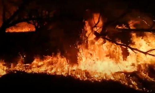 пожарные и спасатели помогли защитить село новинка от природного пожара