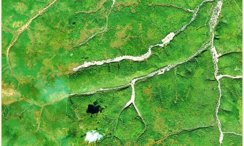 печальные итоги: приамурье на первом месте по загрязнению рек золотодобытчиками