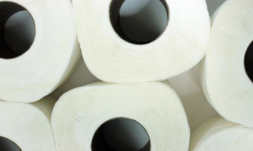 в госдуме предрекли рост цен на туалетную бумагу
