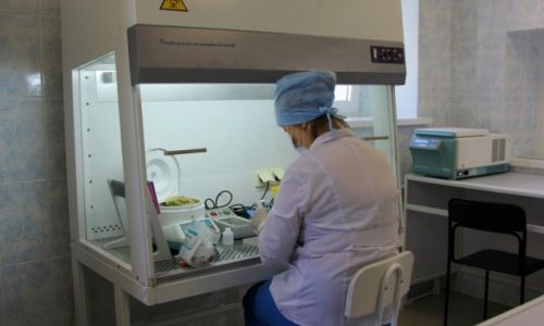 амурская инфекционная больница  работает в режиме повышенной готовности
