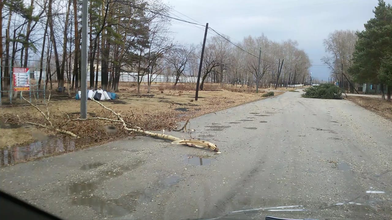 В амурском селе Сапроново пронесся шквалистый ветер