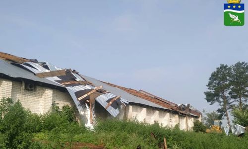 штормовой ветер «уронил» дерево на крышу метеопоста в благовещенском районе