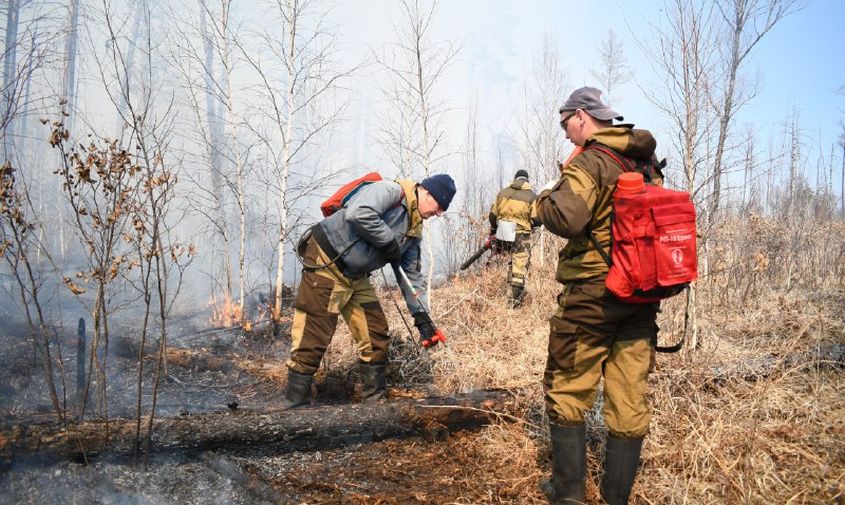 леса горят в тындинском округе, селемджинском и зейском районах
