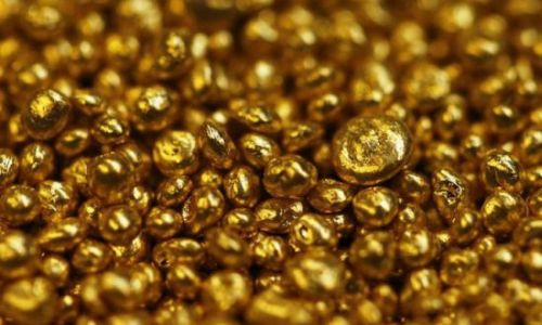 житель зеи обвиняется в хищении золота в особо крупном размере