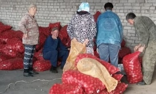завтра жителям благовещенска и белогорска, пострадавшим от паводка, начнут выдавать овощи взамен утраченного урожая
