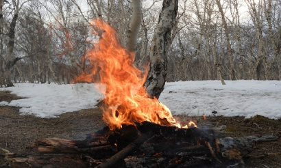 в приамурье зарегистрировано уже 24 природных пожара
