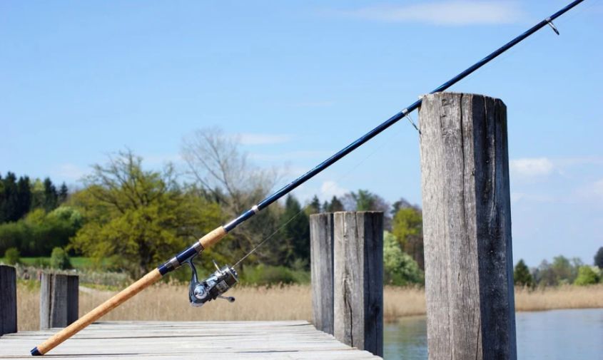 с 20 апреля в приамурье действует полный запрет на рыбалку на всех водоемах
