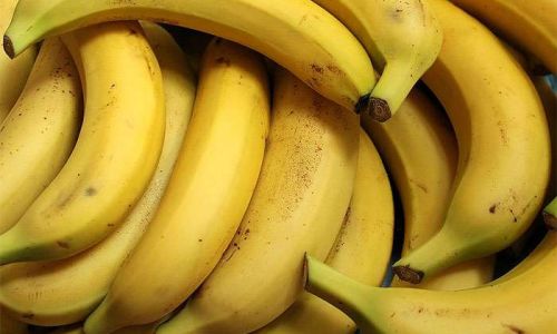 путин объяснил, почему бананы из эквадора дешевле отечественной картошки