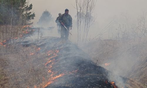 природные пожары не отступают: новое возгорание зафиксировано в зейском округе