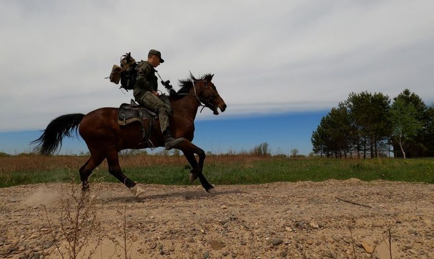 100 километров на лошадях мимо минных заграждений: в приамурье проходит «конный марафон»
