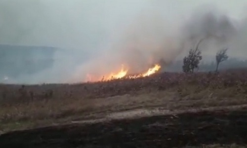 природный пожар недалеко от архары тушили 25 человек