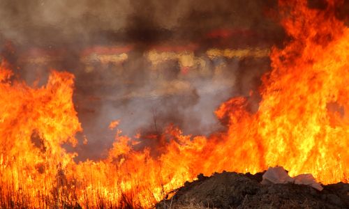 в амурской области десять действующих природных пожаров

