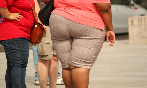 более четверти российских женщин страдают ожирением
