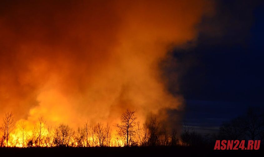 амурской области компенсируют еще 112 миллионов рублей, потраченных на тушение лесных пожаров 