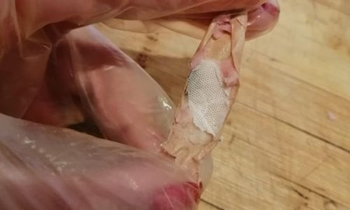 колбаска, не болей: благовещенка обнаружила внутри молочной колбасы использованный лейкопластырь
