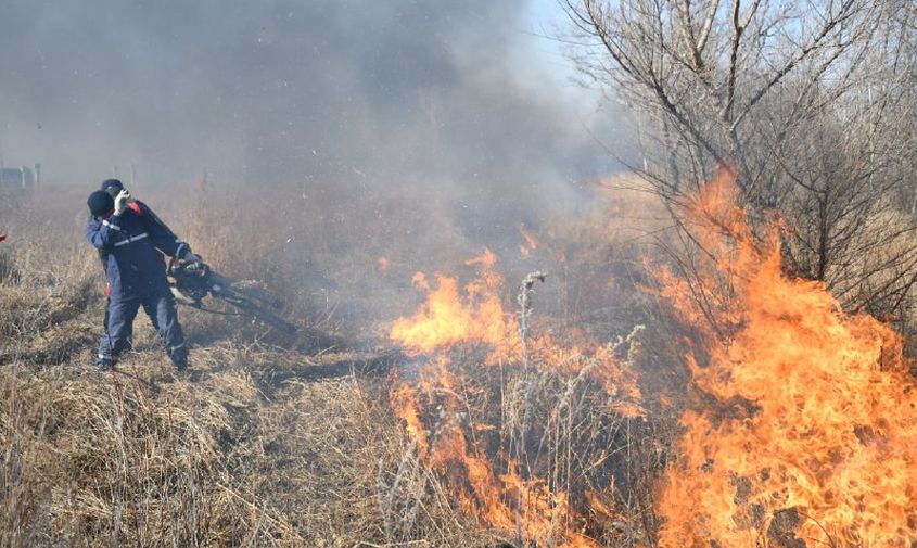 в амурской области нет действующих природных пожаров
