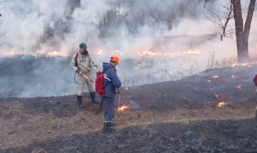 в приамурье продолжает гореть лес: за сутки огонь повредил 200 с лишним гектаров