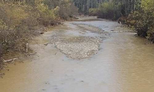 золотодобытчики губят реки: выявлено 266 нарушений в приамурье