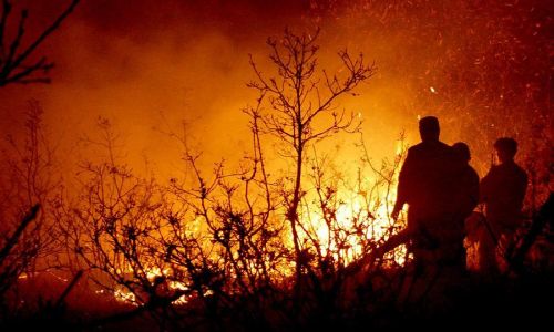 три крупнейших природных пожара весны
