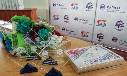 амурская генерация определила победителей и лауреатов регионального этапа акции «надежный партнер»