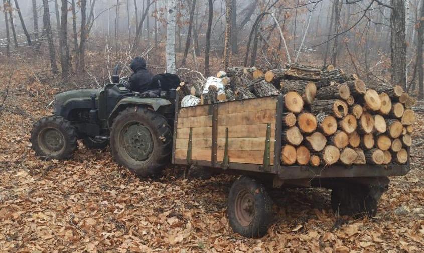 в бурейском округе инспекторы поймали «черных лесорубов»