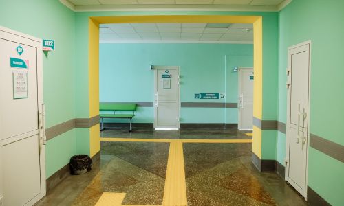 обновленную детскую поликлинику в райчихинске оценили губернатор и глава минздрава области

