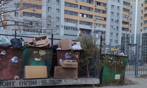 еще один сдался: в благовещенске на помойке заметили очередную новогоднюю елку